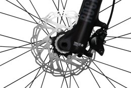 ALOM COMP B1 2025 COBRE (17)